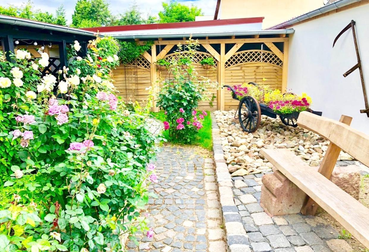 Ferienwohnungen Grimma 4 Bagian luar foto